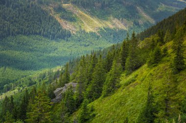 Güzel dağ manzarası Tatry, Slovakya