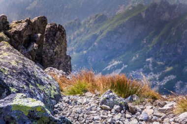 Güzel dağ manzarası Tatry, Slovakya