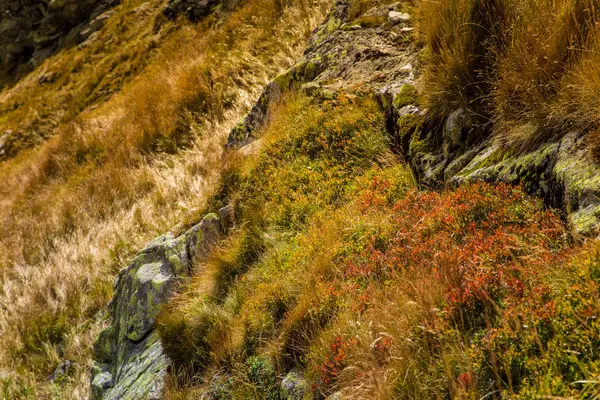 A beautiful mountain landscape in Tatry, Slovakia — Stock Photo, Image