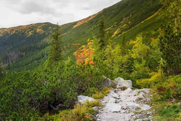 Güzel dağ manzarası Tatry, Slovakya