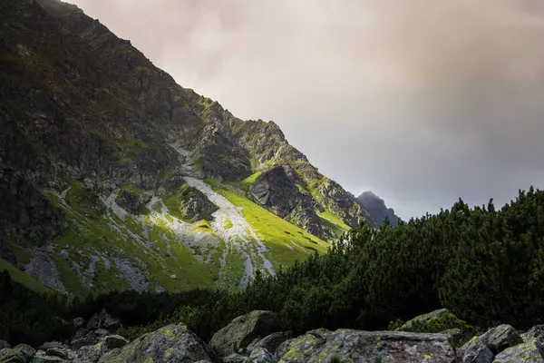 Güzel dağ manzarası Tatry, Slovakya