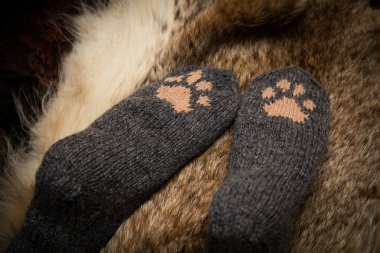 Çift el örgü yün çorap kürk arka plan üzerinde bir kedi pençe desenli
