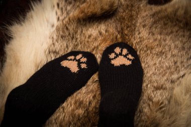 Çift el örgü yün çorap kürk arka plan üzerinde bir kedi pençe desenli
