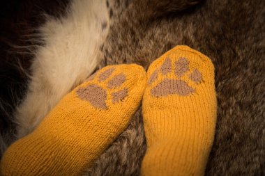 Çift el örgü yün çorap kürk arka plan üzerinde bir kedi pençe desenli