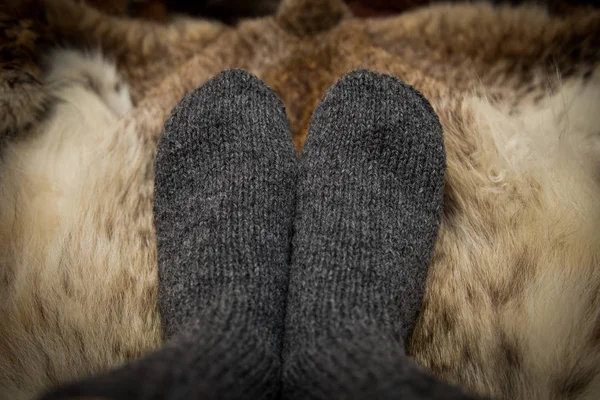 Sıcak el bir kürk zemin üzerine yün çorap ördü. İlk kişi görünümü.