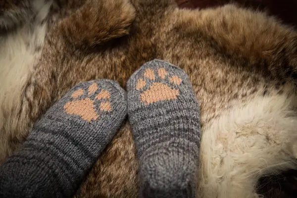 Pair of a hand knitted woolen socks with a cat paw pattern on fur background — Stock Photo, Image