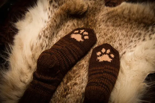 Çift el örgü yün çorap kürk arka plan üzerinde bir kedi pençe desenli