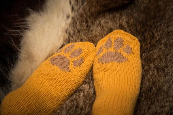 Çift el örgü yün çorap kürk arka plan üzerinde bir kedi pençe desenli