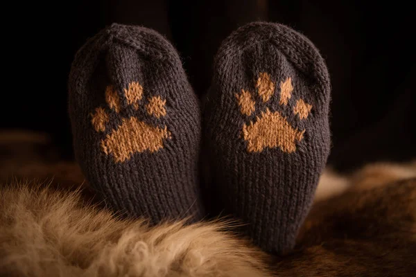 Çift el örgü yün çorap kürk arka plan üzerinde bir kedi pençe desenli