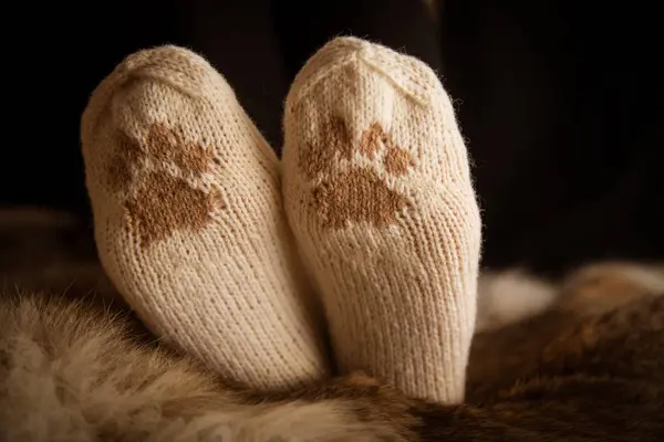 Çift el örgü yün çorap kürk arka plan üzerinde bir kedi pençe desenli
