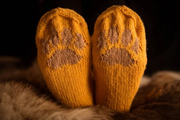Çift el örgü yün çorap kürk arka plan üzerinde bir kedi pençe desenli
