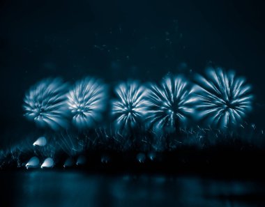 Nehir üzerinde mavi bir tonda havai fişek abstract, bulanık, bokeh tarzı renkli fotoğraf