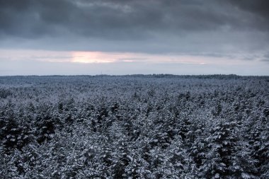 Güzel kış manzara gri, Kuzey Avrupa'da gün bulutlu