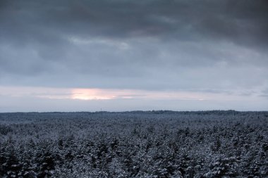 Güzel kış manzara gri, Kuzey Avrupa'da gün bulutlu