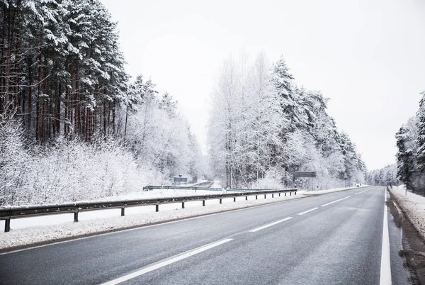 Güzel kış manzara gri, Kuzey Avrupa'da gün bulutlu