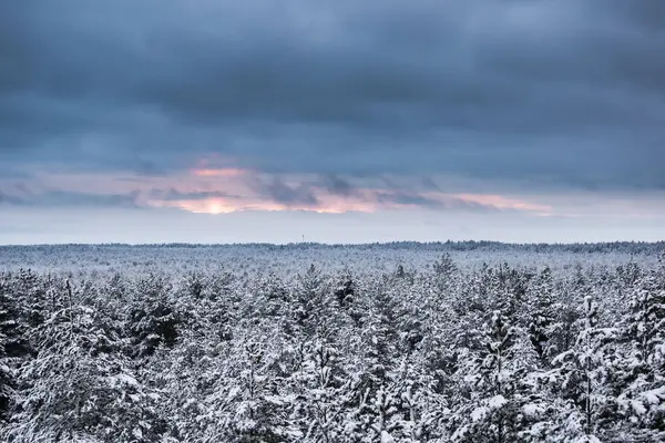 A beautiful winter landscape in nordic Europe, in gray, overcast day — Stock Photo, Image