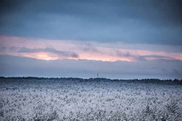 Güzel kış manzara gri, Kuzey Avrupa'da gün bulutlu