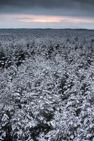 Güzel kış manzara gri, Kuzey Avrupa'da gün bulutlu