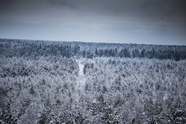 Güzel kış manzara gri, Kuzey Avrupa'da gün bulutlu