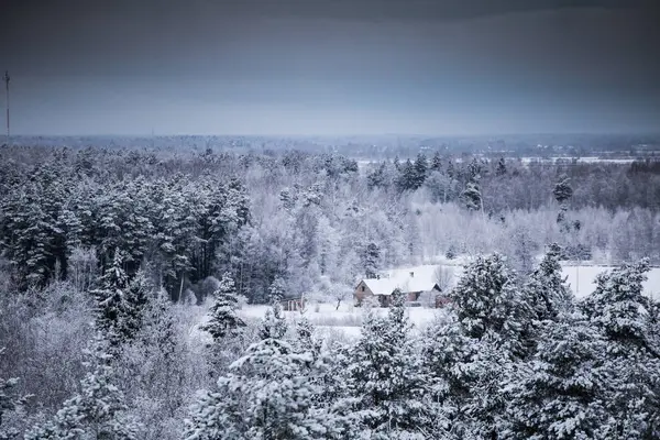 Güzel kış manzara gri, Kuzey Avrupa'da gün bulutlu
