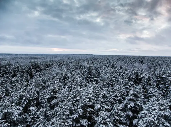 Güzel kış manzara gri, Kuzey Avrupa'da gün bulutlu