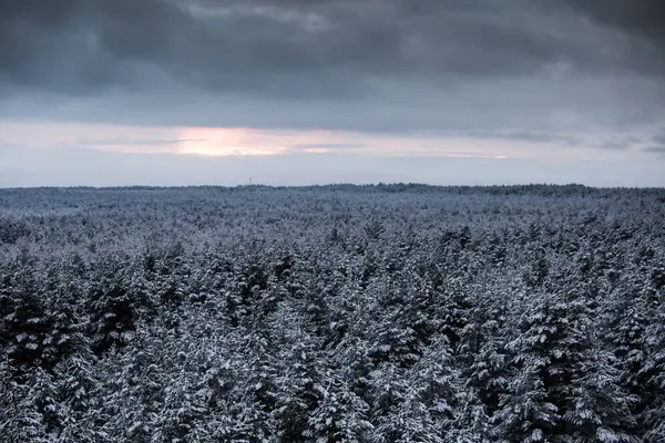 Güzel kış manzara gri, Kuzey Avrupa'da gün bulutlu