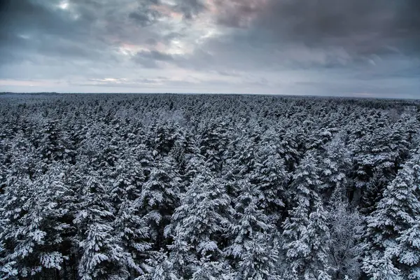 Güzel kış manzara gri, Kuzey Avrupa'da gün bulutlu