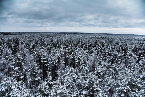 Güzel kış manzara gri, Kuzey Avrupa'da gün bulutlu