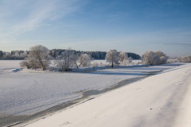 Güzel kış manzara gri, Kuzey Avrupa'da gün bulutlu
