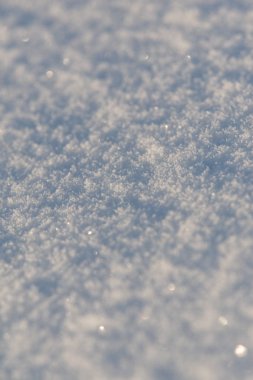 Güzel kış manzara gri, Kuzey Avrupa'da gün bulutlu