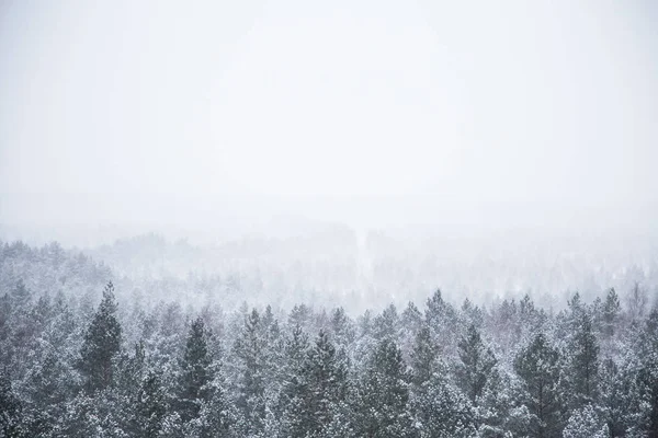 Güzel kış manzara gri, Kuzey Avrupa'da gün bulutlu