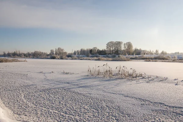 Güzel kış manzara gri, Kuzey Avrupa'da gün bulutlu