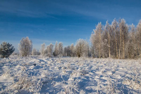 Een prachtige winterlandschap in Noordse Europa, in grijs, bewolkte dag — Stockfoto