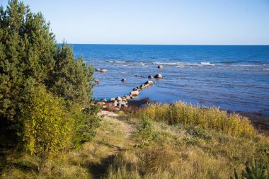 Nordic Avrupa ülkesinde sonbaharın güzel bir sahne.