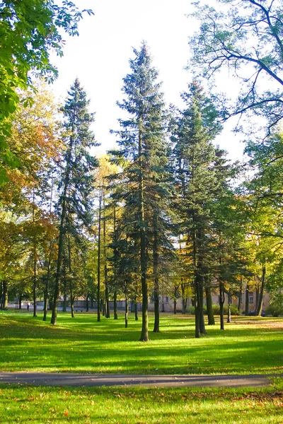 Nordic Avrupa ülkesinde sonbaharın güzel bir sahne.