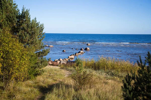 A gyönyörű táj, az ősz a skandináv európai országban. — Stock Fotó