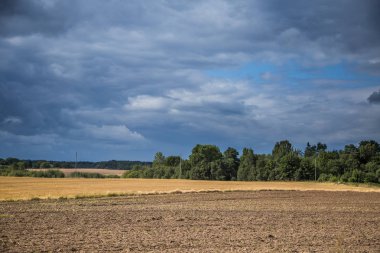 Bir güzel bir ülke, yatay mesafe içine uzanan bir buğday alanları. Kırsal manzara yaz sonunda ilham verici..