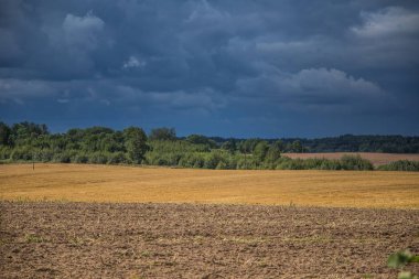 Bir güzel bir ülke, yatay mesafe içine uzanan bir buğday alanları. Kırsal manzara yaz sonunda ilham verici..
