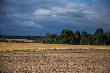 Bir güzel bir ülke, yatay mesafe içine uzanan bir buğday alanları. Kırsal manzara yaz sonunda ilham verici..