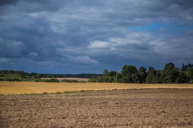Bir güzel bir ülke, yatay mesafe içine uzanan bir buğday alanları. Kırsal manzara yaz sonunda ilham verici..