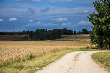 Bir güzel bir ülke, yatay mesafe içine uzanan bir buğday alanları. Kırsal manzara yaz sonunda ilham verici..
