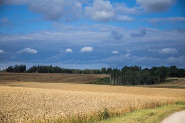 Bir güzel bir ülke, yatay mesafe içine uzanan bir buğday alanları. Kırsal manzara yaz sonunda ilham verici..
