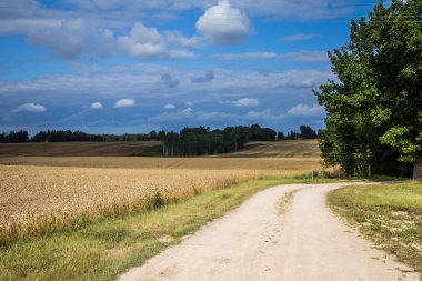 Bir güzel bir ülke, yatay mesafe içine uzanan bir buğday alanları. Kırsal manzara yaz sonunda ilham verici..