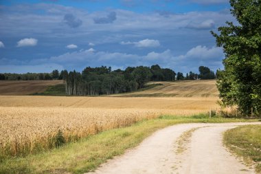Bir güzel bir ülke, yatay mesafe içine uzanan bir buğday alanları. Kırsal manzara yaz sonunda ilham verici..