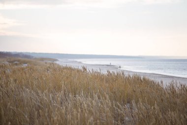 Tepeleri Baltık Denizi sahil şeridi üzerinde güzel bir manzara