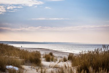 Tepeleri Baltık Denizi sahil şeridi üzerinde güzel bir manzara