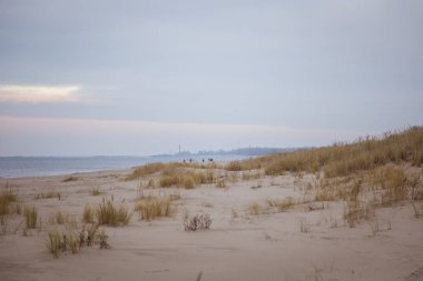 Tepeleri Baltık Denizi sahil şeridi üzerinde güzel bir manzara