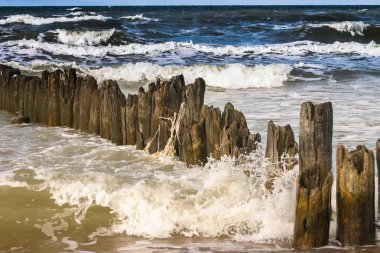 Tepeleri Baltık Denizi sahil şeridi üzerinde güzel bir manzara