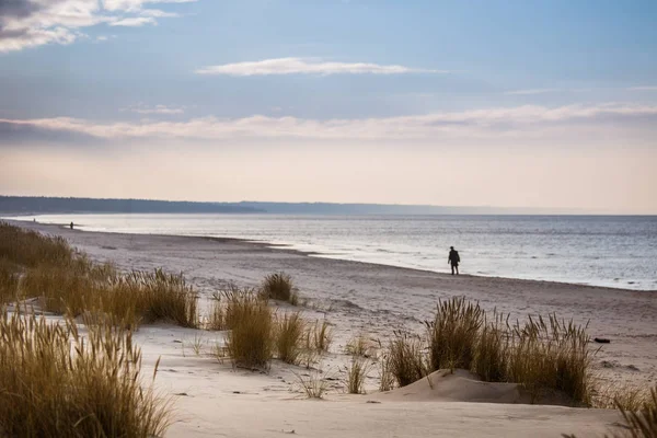 Eine wunderschöne Dünenlandschaft an der Ostseeküste — Stockfoto