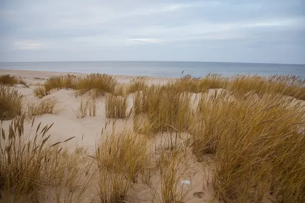 Piękny krajobraz wydm na wybrzeżu Morza Bałtyckiego — Zdjęcie stockowe